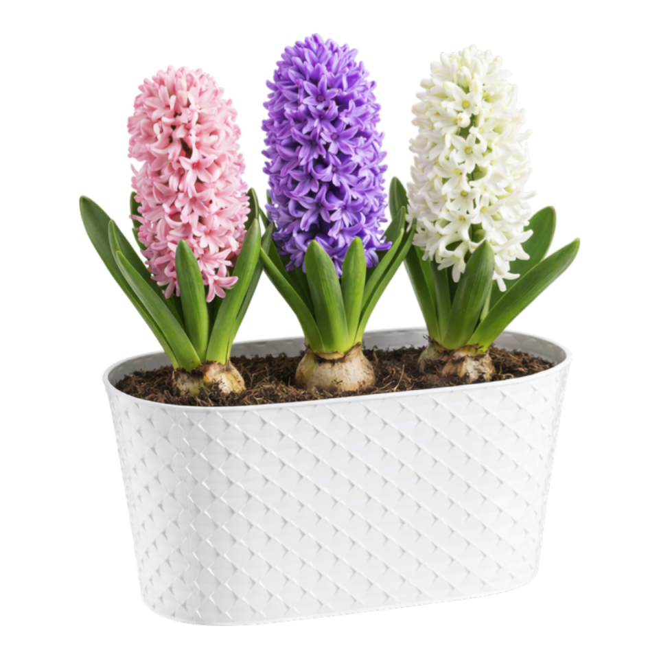 Kapadokya Balkon Saksı Kirli Beyaz