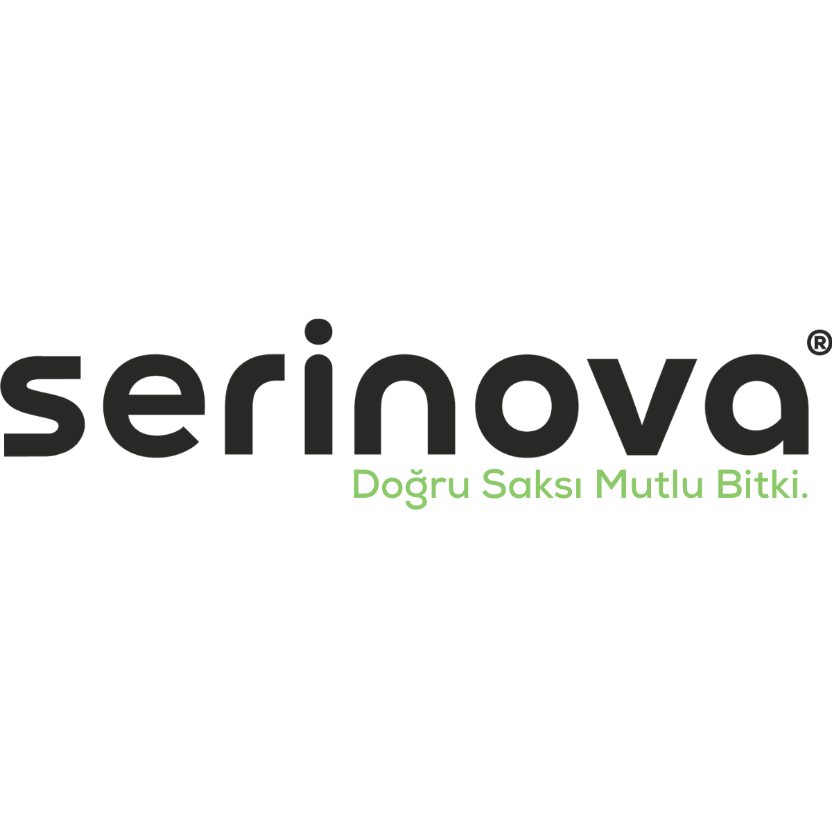 Tombik Saksı 5 NO - Mocha