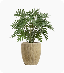 Fiber Stone Saksıları