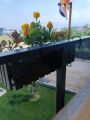 Yorum Resmi